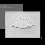 Shell Wholesale Customized Abstract Wall Art Wabi Sabi Hotel Wall Art 100% Handmade 3D Texture Gypsum Painting - 图片 4